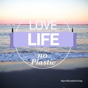 Peaceful Life with No Plastic. #water #sydney #australia #beach